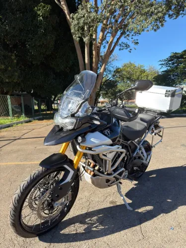 Tiger 900 Rally Pro 24/25 
