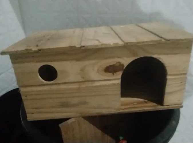 casinha toca de madeira pinus para roedores