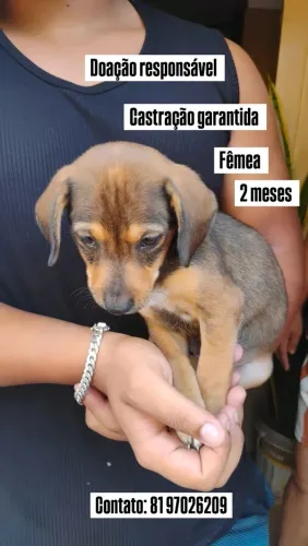 Cadela