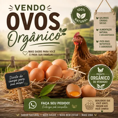 Ovos orgânicos