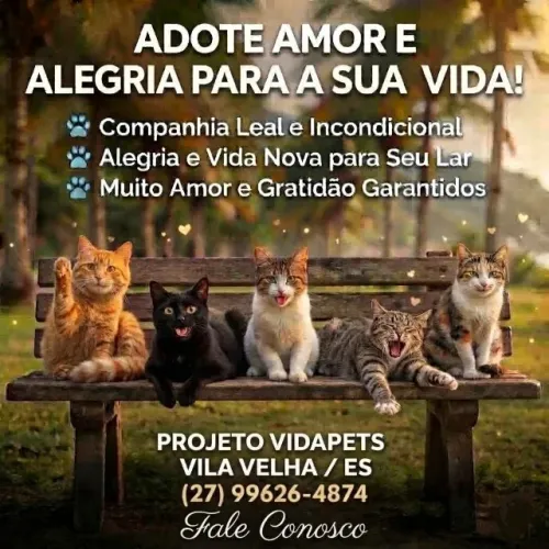 ADOÇÃO RESPONSÁVEL - ELES ESTÃO ESPERANDO POR VOCÊ!