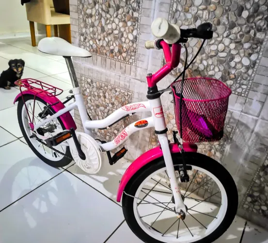 Bicicleta Infantil Aro 20 Forss Hello Com Cestinha