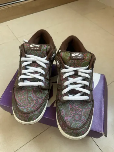 Nike dunk Sb