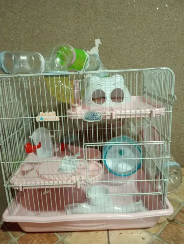 Casinha para Hamster.