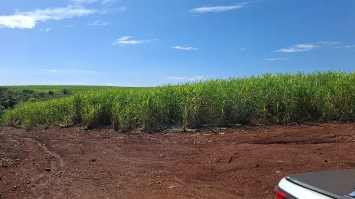 Fazenda | Fazenda Pouso Alegre | Porecatu