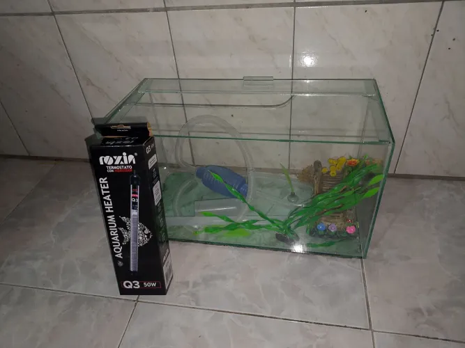 aquário + termostato 