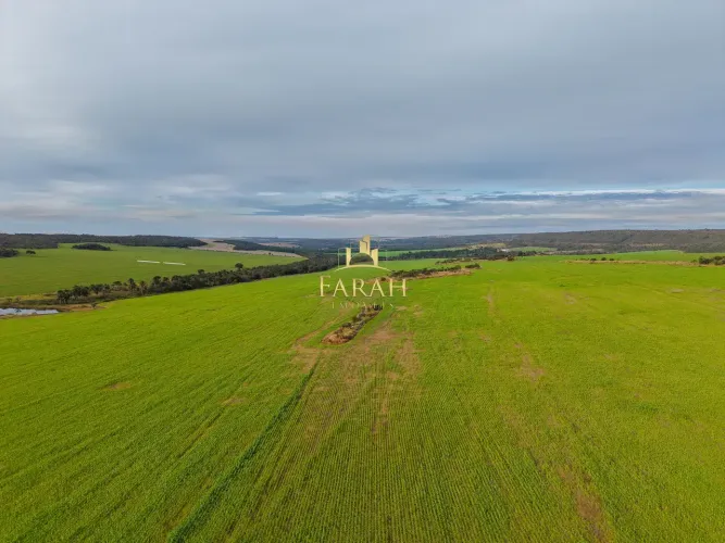 Oportunidade no Agro: 635 Hectares Produtivos com Estrutura Completa e Excelente Logística