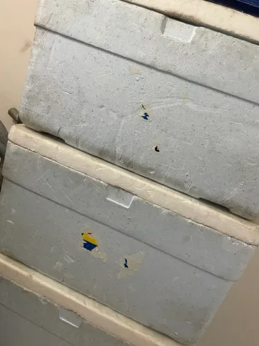 Caixa de isopor 60 litros