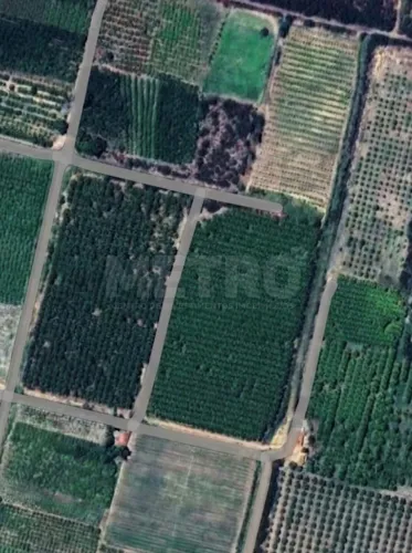 Fazenda de coco e manga à venda, 7,7 hectares, 2.550 pés, Petrolina