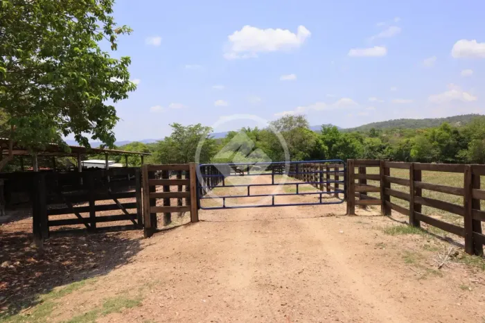 FAZENDA À VENDA DE 895 HECTARES EM GOIÁS (região de GUARINOS) codigo: 331621