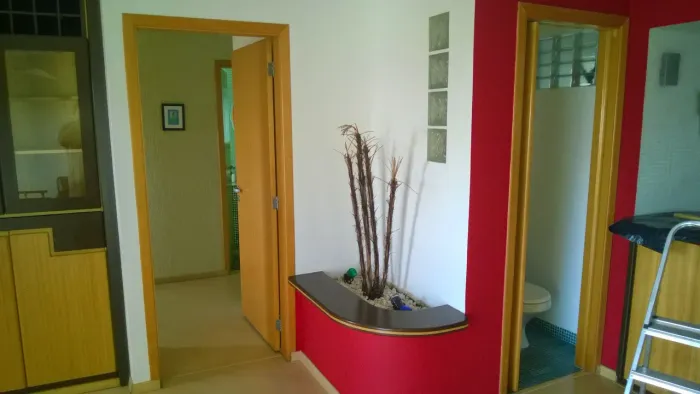 Pinturas em geral