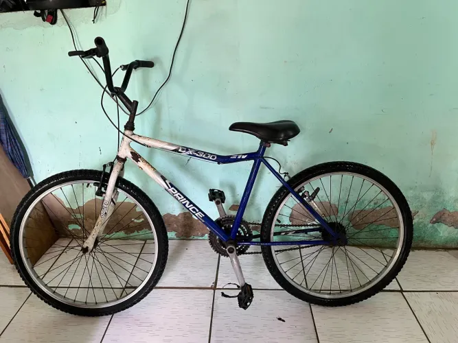 Bicicleta