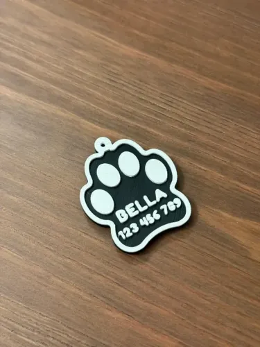 Tag Placa para identificação Cão e Gato