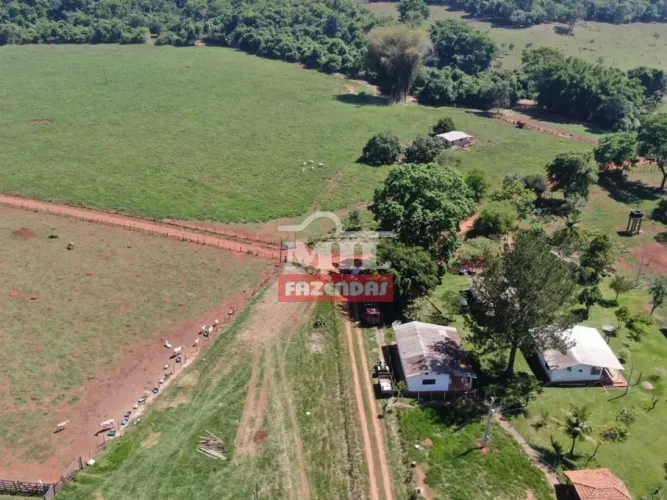 Fazenda 120 Alqueires (580 ectares) Itapaci -GO