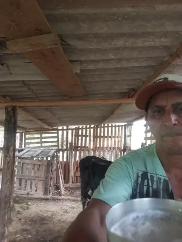 Agropecuária