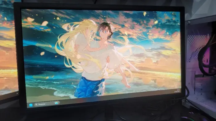 Monitor Fmaxx 24" IPS Full HD 75Hz - (1 Ano de Uso) LEIA
