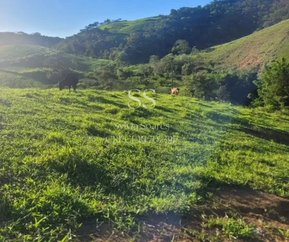 ÁREA PARA VENDA EM VASSOURAS, RJ