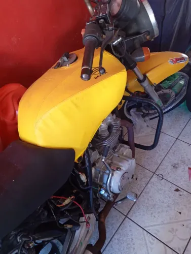 Safra bom estado