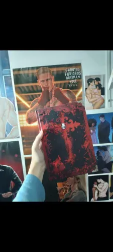 livro judas-autora Larissa Abreu livro de dark romance da editora fruto proibido capa dura