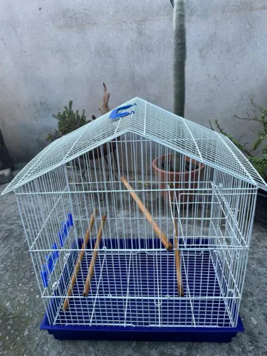 Criadeira calopsita bandeja plástica