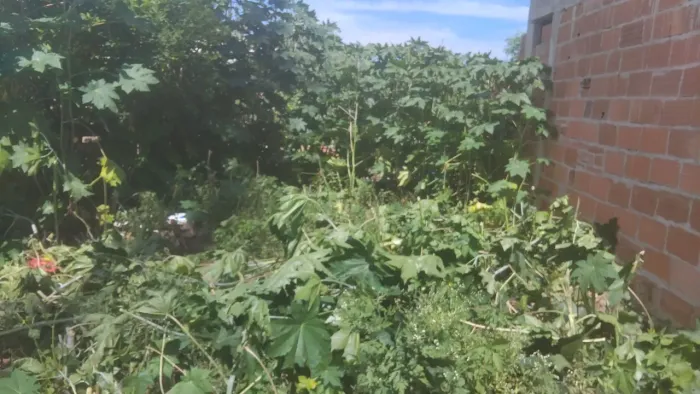 Vendo terreno 6x25 lugar asfaltado próximo a farmácias e supermercados. 60 milll