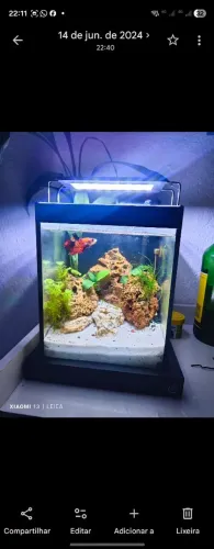 Aquário 10l com luminária soma