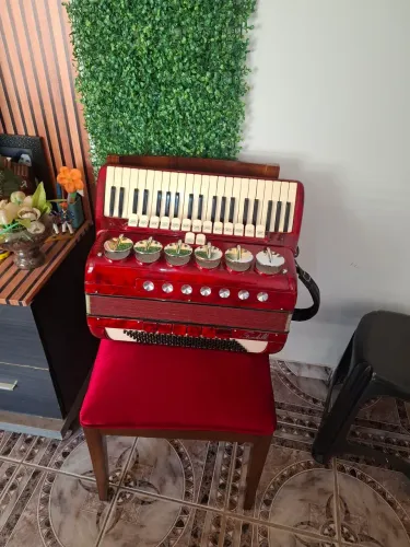 Acordeon Italiana Scandalli 120 baixos