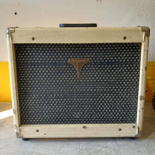 Amplificador de violão Epiphone 30w com reverb (entrada para violão e microfone)