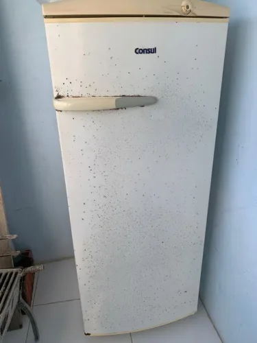 GELADEIRA 270$