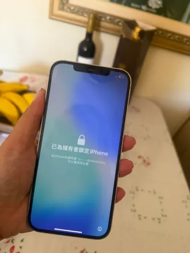 Iphone 12 pro max 256g