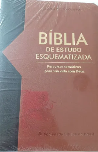 Bíblia de Estudo Esquematizada