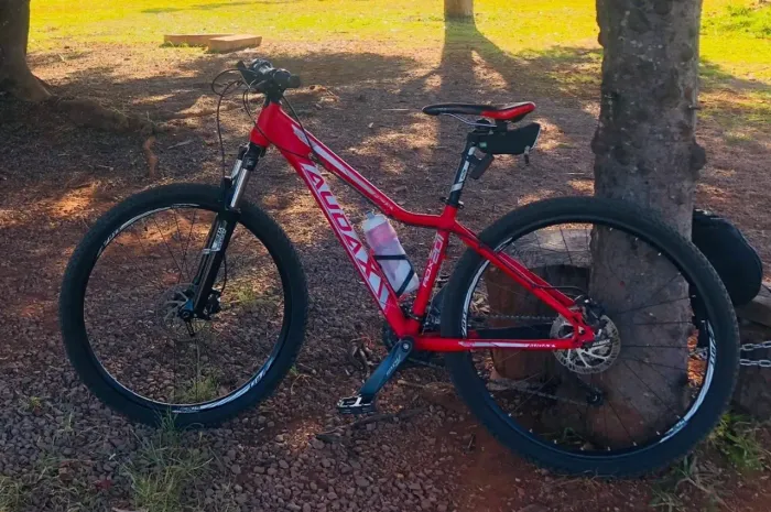 Vendo MOUNTAIN BIKE AUDAX 