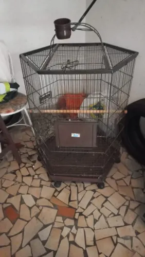 Gaiola grande para passarinho