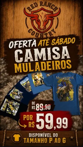 camiseta muladeiros diversas cores