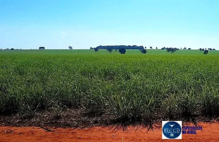 Fazenda à Venda em Quirinópolis/GO 140 Alqueires