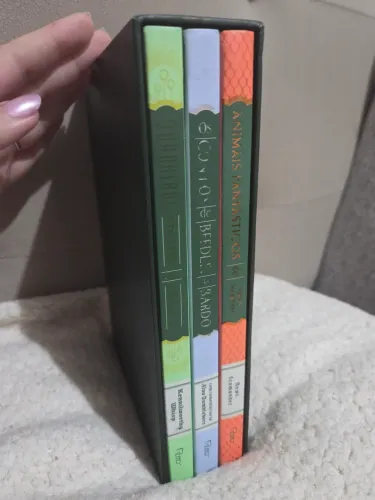 BOX- Biblioteca Hogwarts