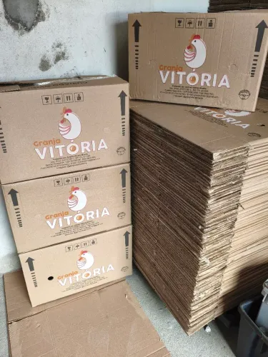 Caixas para mudança de papelão..