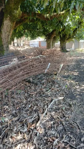 Ferro para Construção 