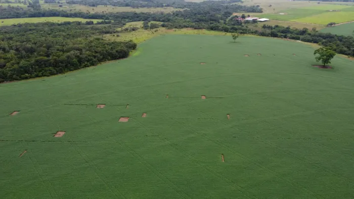 Fazenda 165,4883 ha em Itaberai Goiás 
