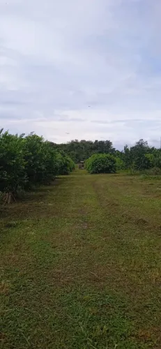 AM 010 Km 173, vendo Fazenda com 449ha, Auto sustentável