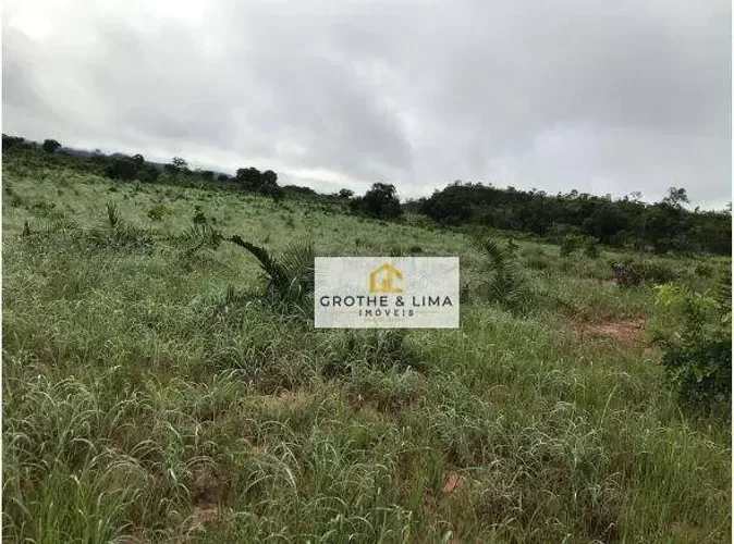 Fazenda à venda, 1041 alqueires por R$ 41.640.000 - Zona Rural - Recursolândia/TO