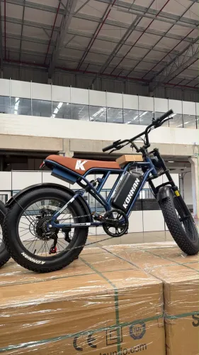 Bicicleta Elétrica 750w