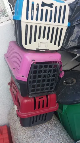 Caixinha de transporte para cachorro
