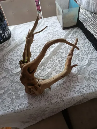 Vendo tronco para aquario