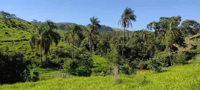 SÍTIO À VENDA NA DIVISA ENTRE MONTE SIÃO E JACUTINGA. 20.000 m² de muita natureza e sosseg