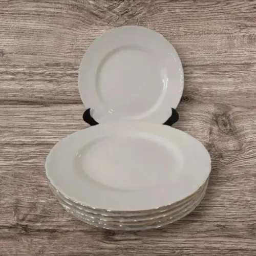 6 Pratos Rasos Brancos Porcelana Bavaria Borda Ouro - Belíssimos