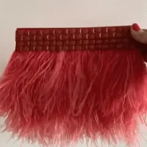 Clutch (Bolsa de Mão) com Plumas e Pedrarias