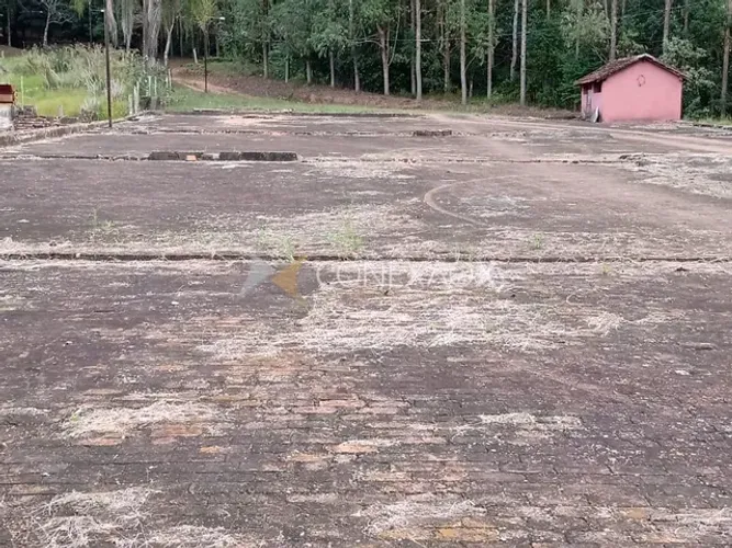 fazenda - Jacutinga - Jacutinga