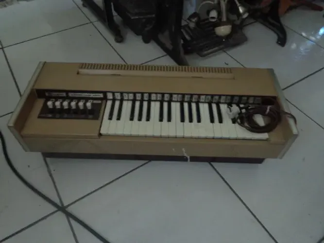  orgão eletrico magnus  e etma  não esta funcionando