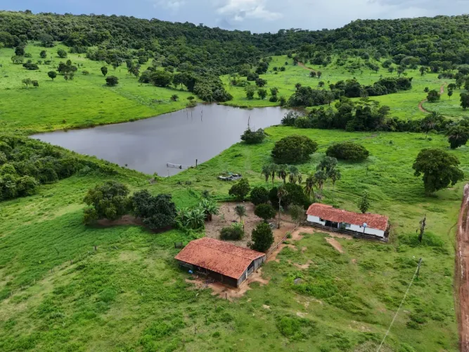 Fazenda de 125 alq. Em Caiapônia Go. 100 alq de pasto 15 milhões.